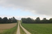 La Côte des Vignes (coin de ciel bleu)